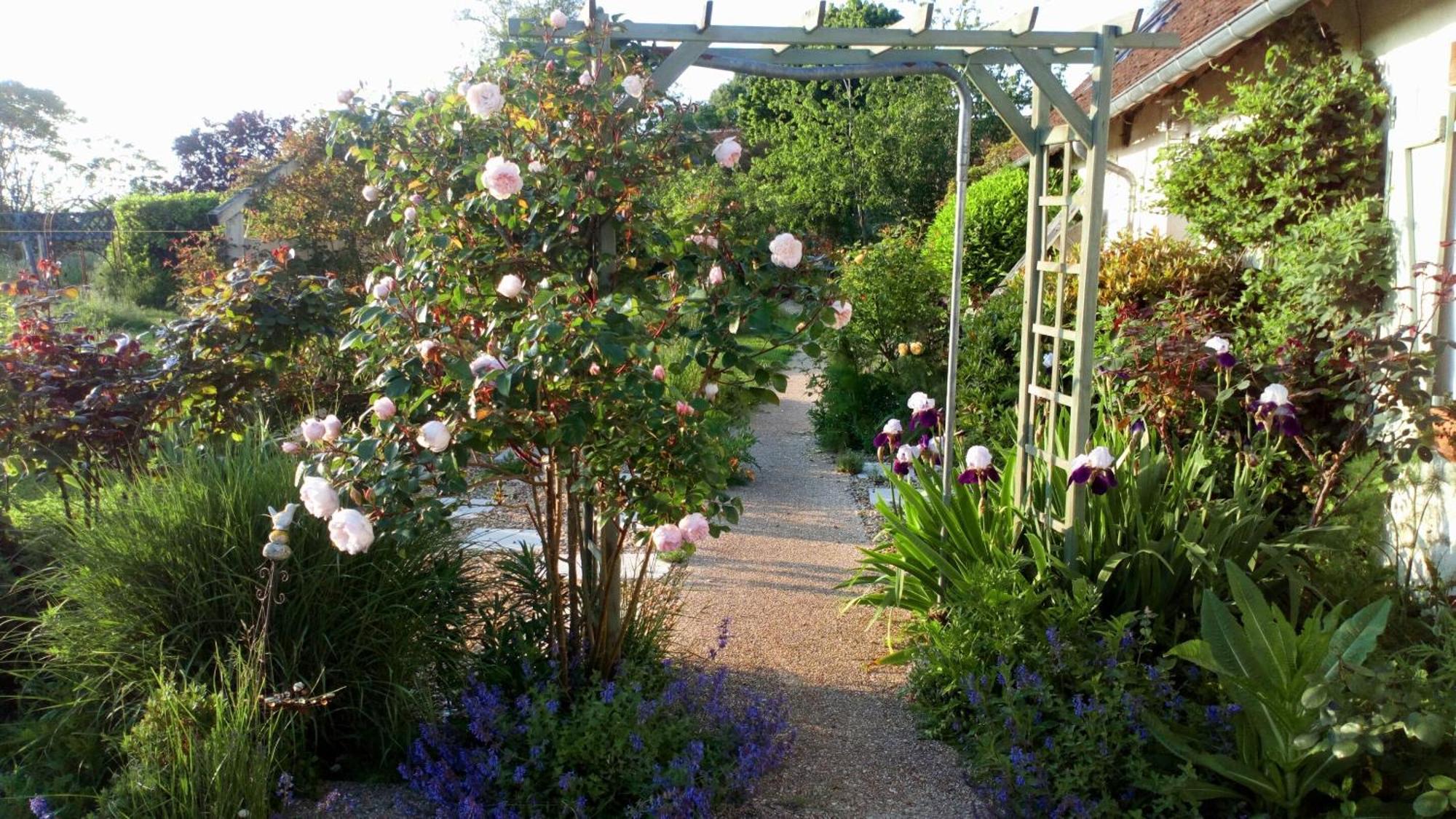 La Pause - Val De Loire Bed and Breakfast Chabris Værelse billede