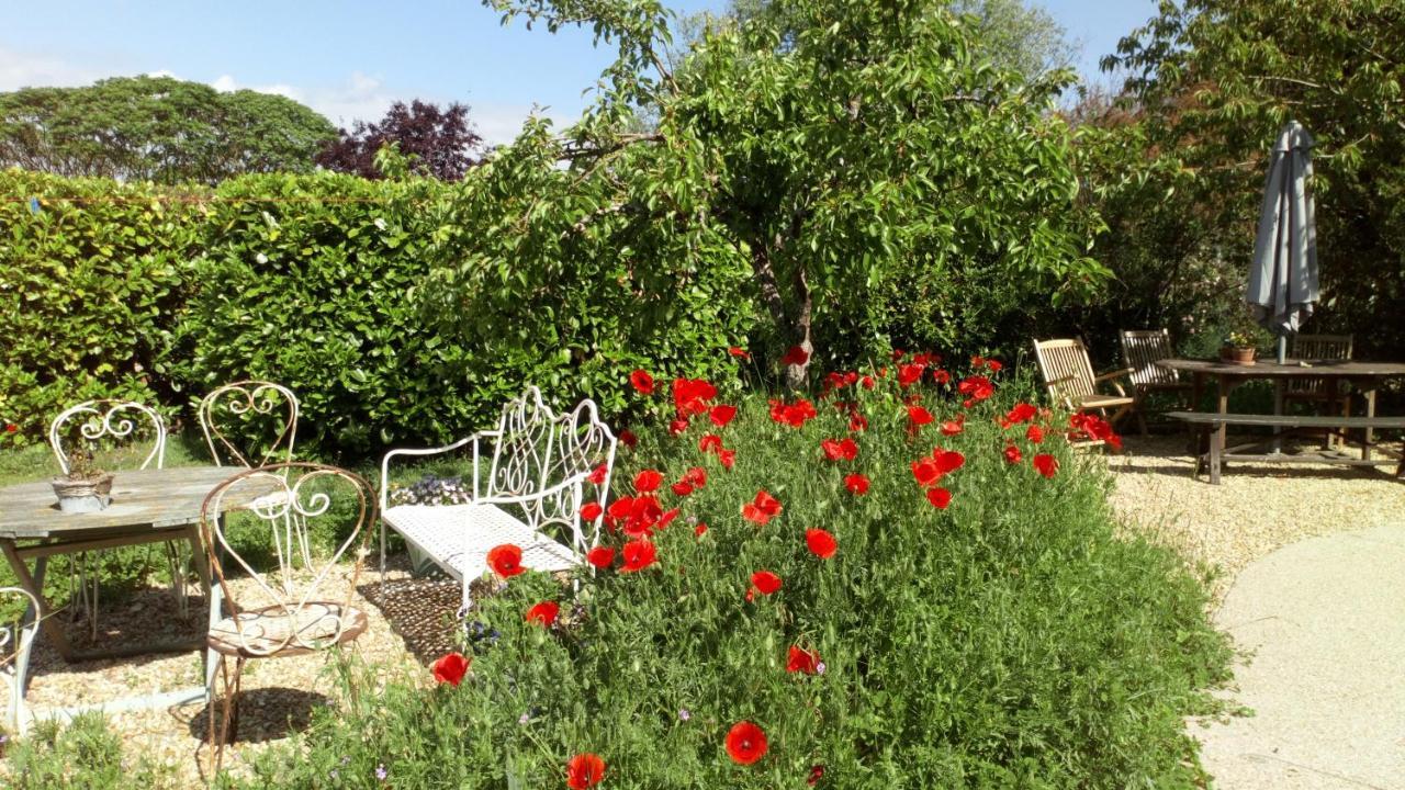 La Pause - Val De Loire Bed and Breakfast Chabris Eksteriør billede